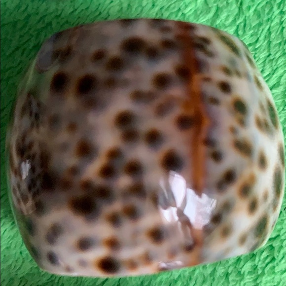 Vintage Seashell set of 7 napkin rings - Picture 7 of 16